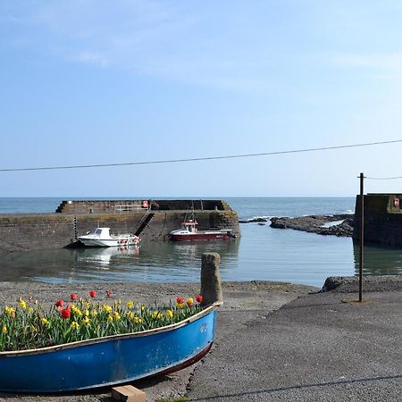 Willa Harbour View Johnshaven Zewnętrze zdjęcie