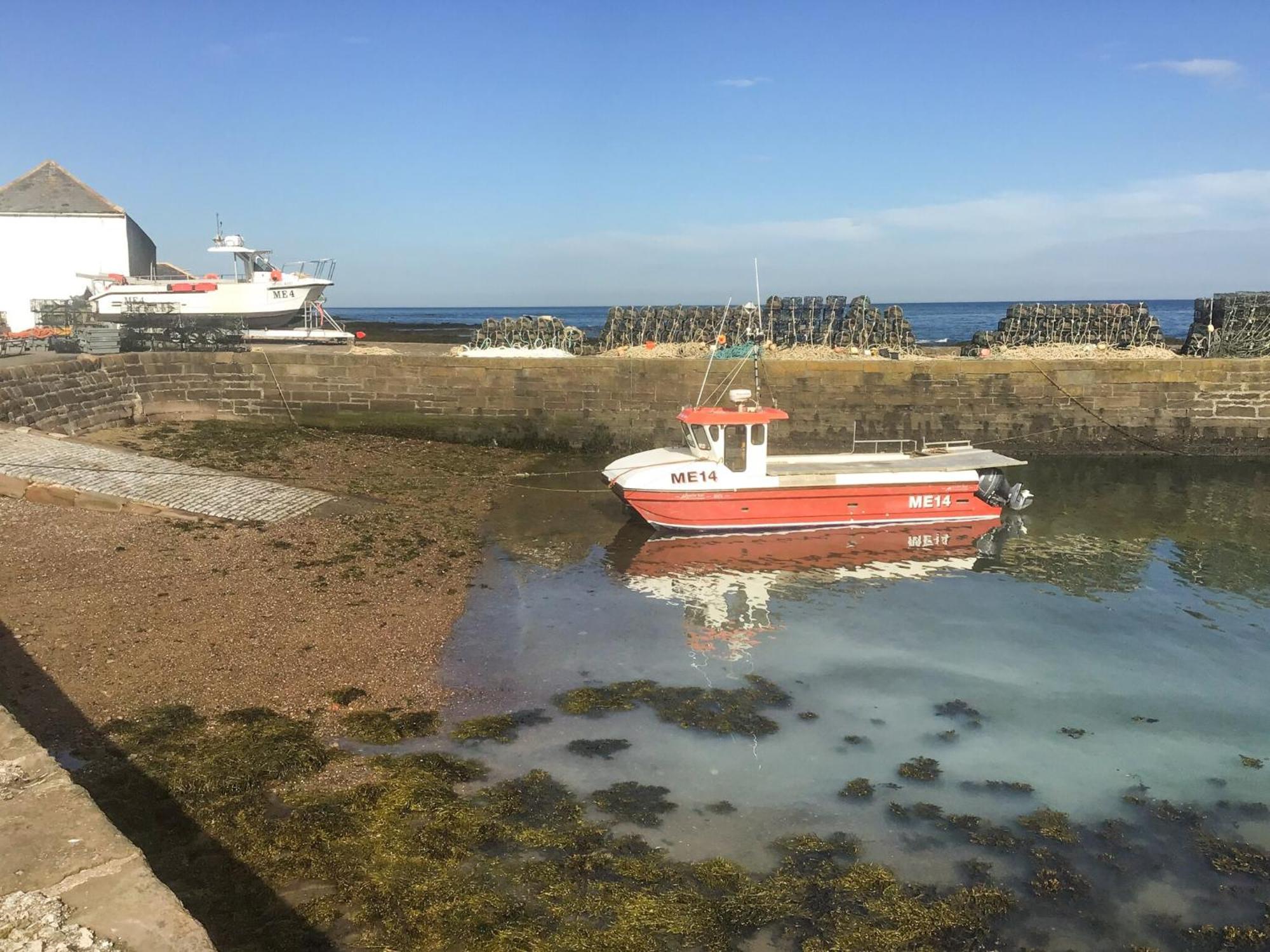 Willa Harbour View Johnshaven Zewnętrze zdjęcie