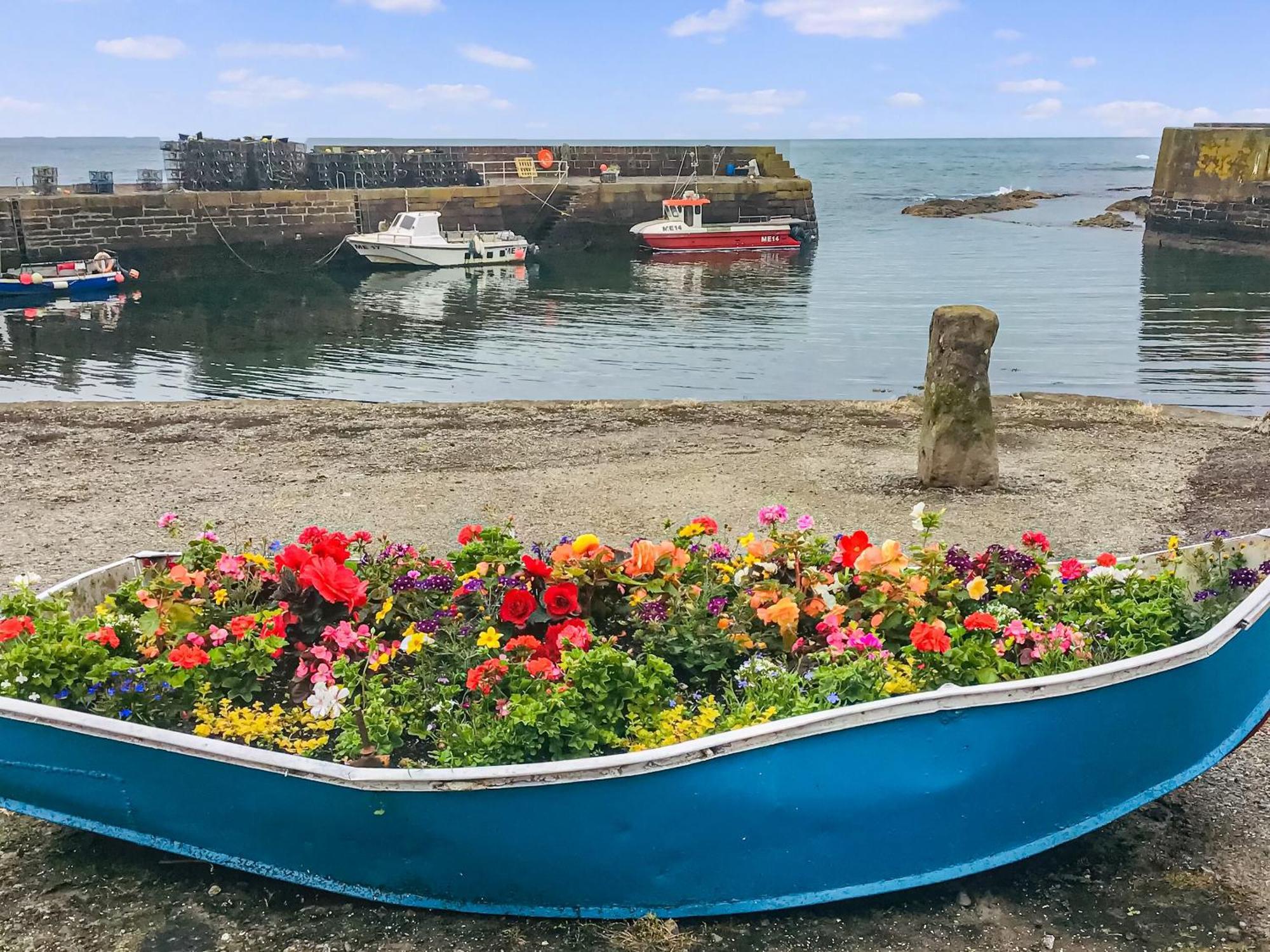 Willa Harbour View Johnshaven Zewnętrze zdjęcie